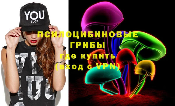PSILOCYBIN Киреевск
