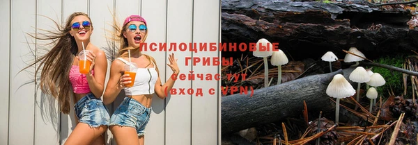 PSILOCYBIN Киреевск